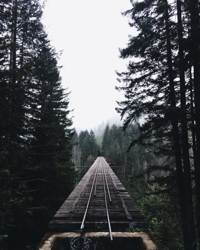 Creative-Circle_Matthew-T_Olympic-National-Forest